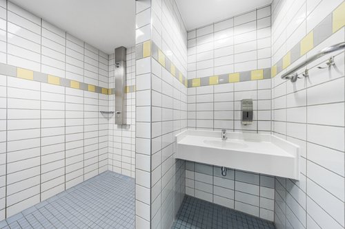 Duschpaneel-LINUS-Inox-mit-Waschtisch-Armatur-CELIS-E_Shower-panel-LINUS-INOX-with-Washbasin-tap-CELIS-E