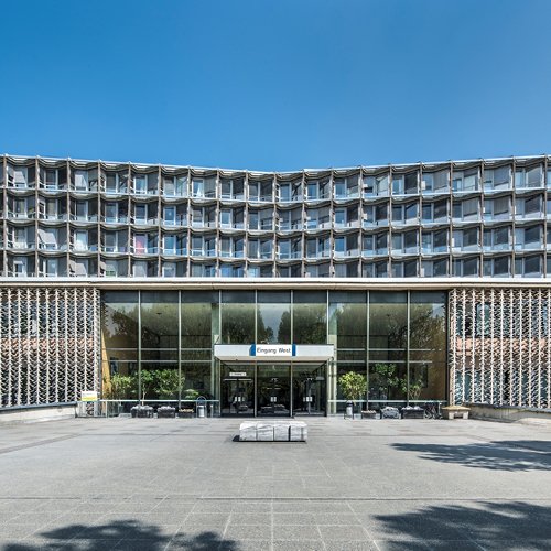 Artikel_Bild_Galerie_500x500_Welttag_Handhygiene-6