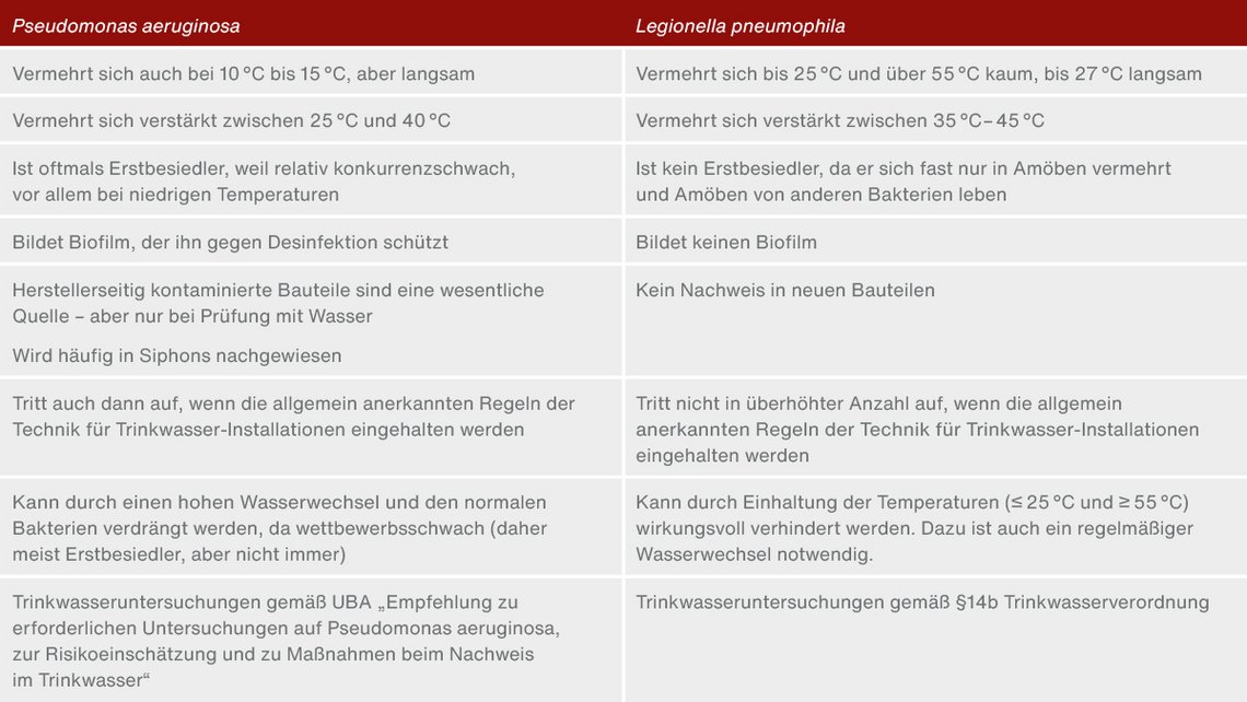 Artikel_Bild_full-width_1200x676_Pseudomonas-aeruginosa-6