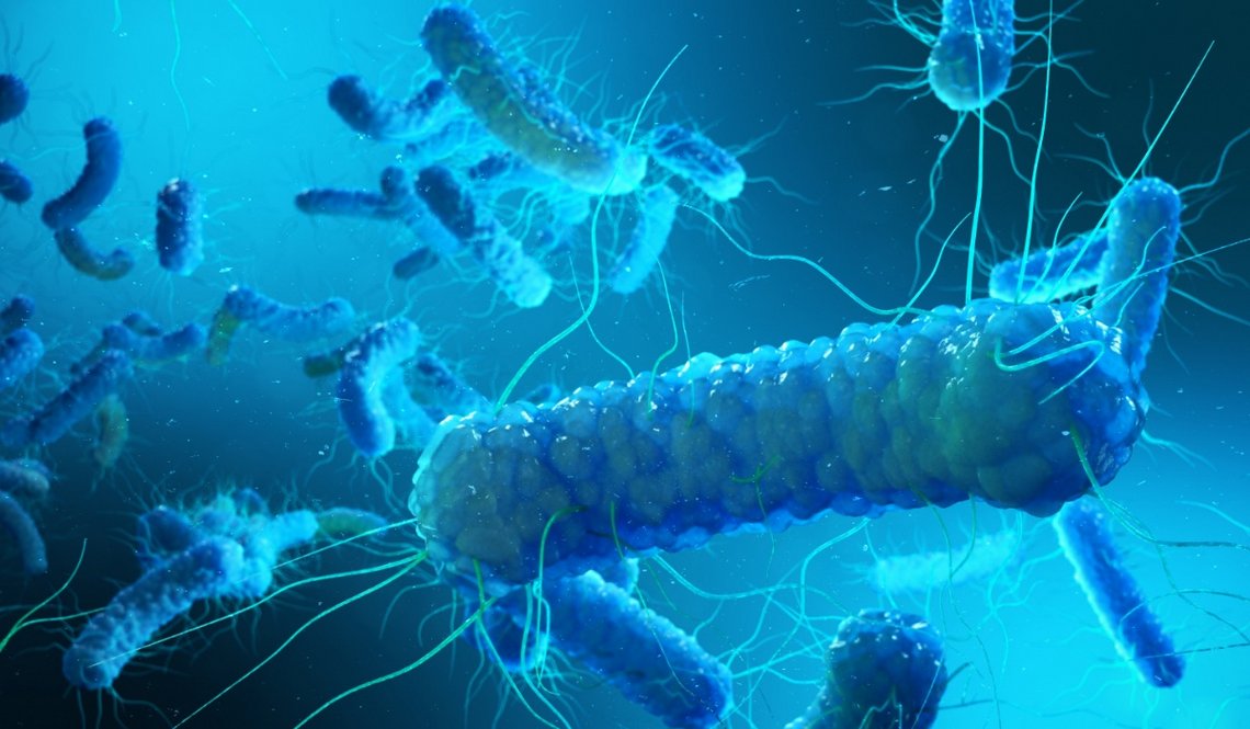 Legionella