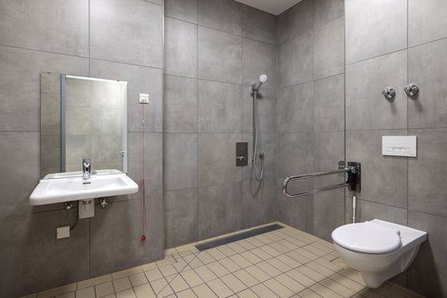 WC-Modul MONTUS Flow, WC-Betätigungsplatte MONTUS KONKAV, Duschen LINUS D-C-T und Waschtisch-Armatur XERIS E-T