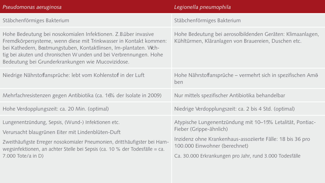 Pseudomonas_BEITRAGSBILD