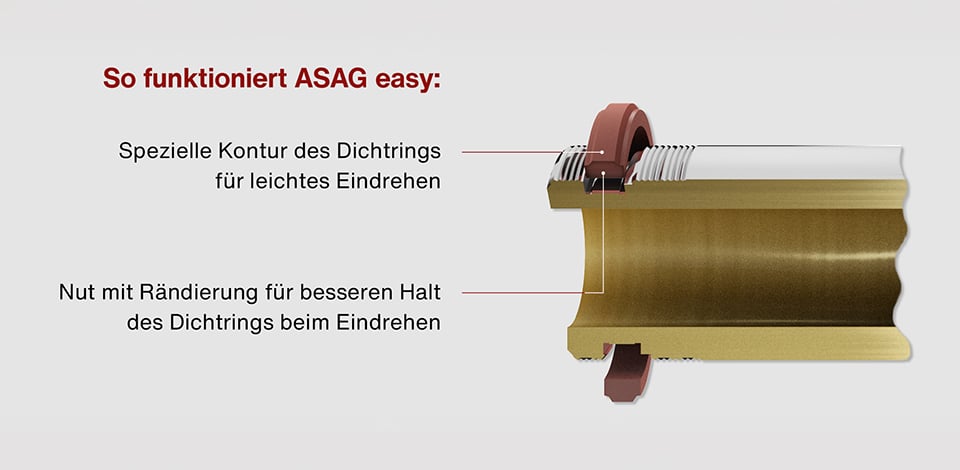 SCHE_Bilder_Faltblatt_ASAG_easy___Raendierung_2025-3_960x470
