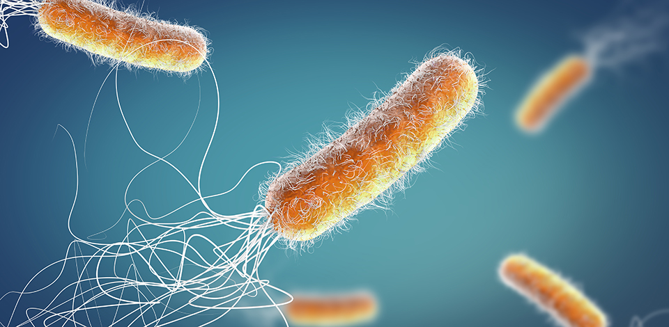 iStock-1182499146_960x470