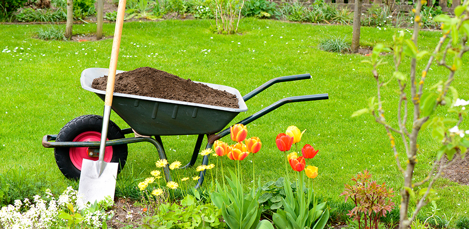 iStock-952357308_schulzie_960x470