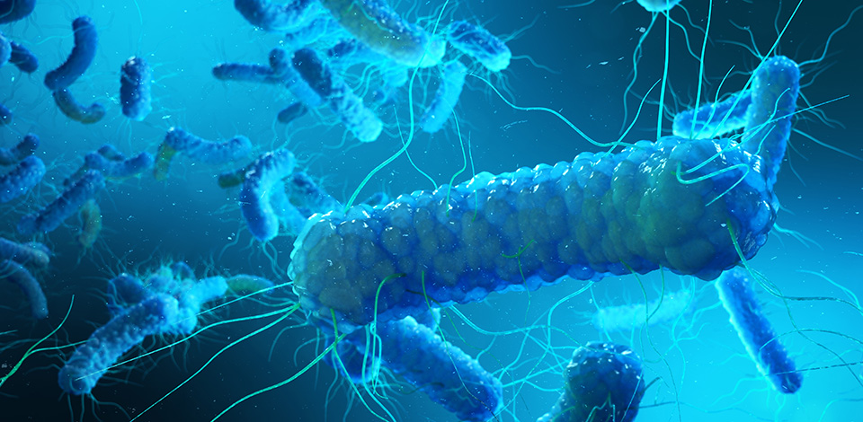 schell_sauberes_wasser_fuer_die_gesundheit_AdobeStock_199185213_960x470