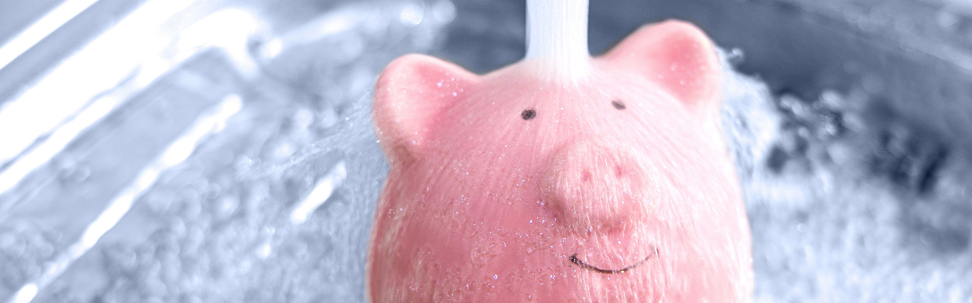 Schell_Blogpost_Wasser_sparen_header