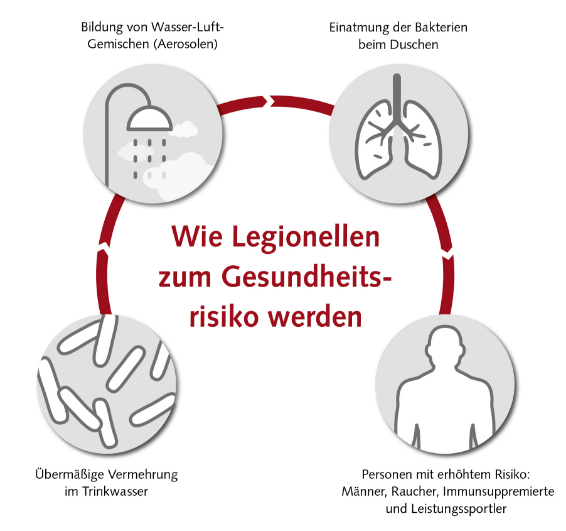 Trinkwasser_Hygiene_legionellen